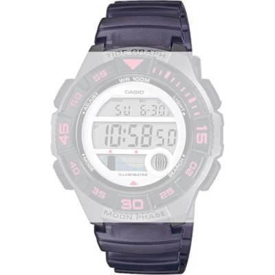 Casio 10592726 Collection Women Strap