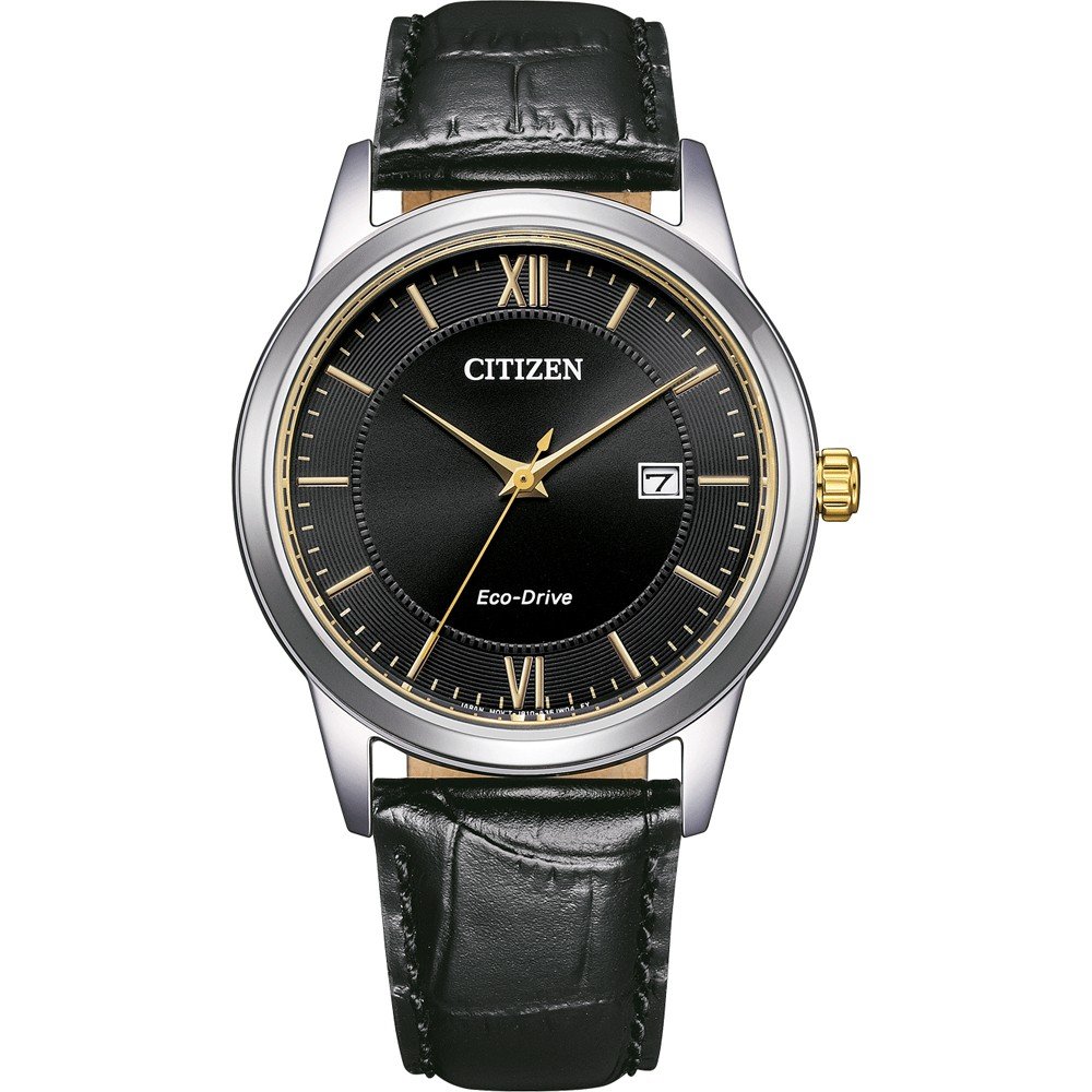 Citizen AW1784-16E Eco-Drive Watch