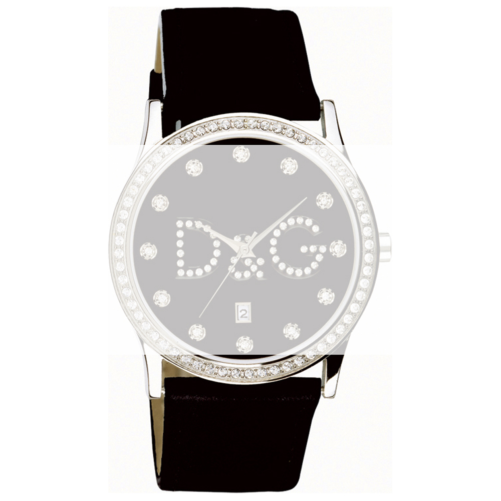 Dolce gabbana women's online watch