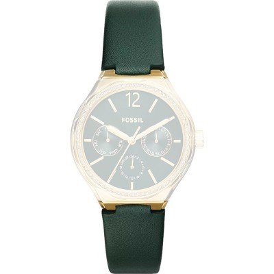 Fossil ABQ3838 Eevie Strap