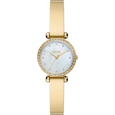 Fossil BQ3895 Tillie Mini Watch