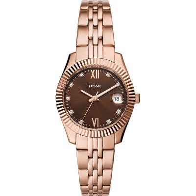 Compare best sale fossil watches