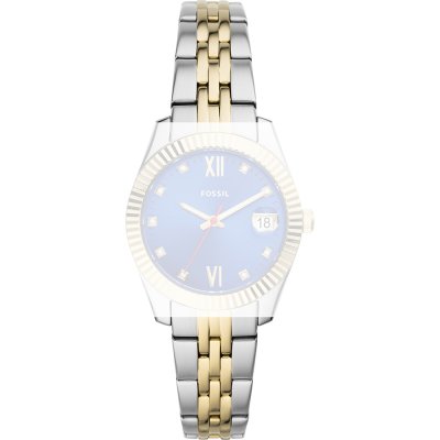 Fossil Straps AES4899 Scarlette Mini Strap