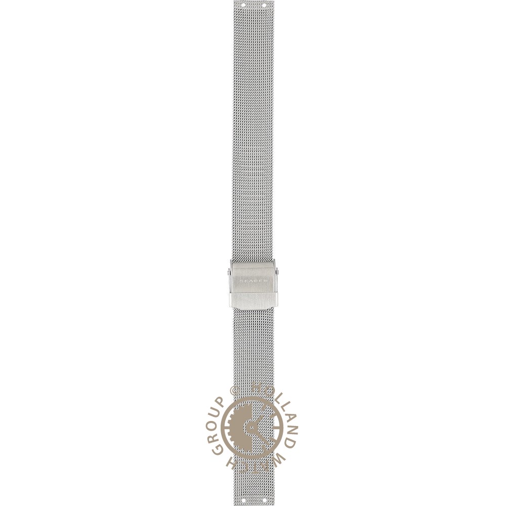 Skagen women's clearance watch 358sssd