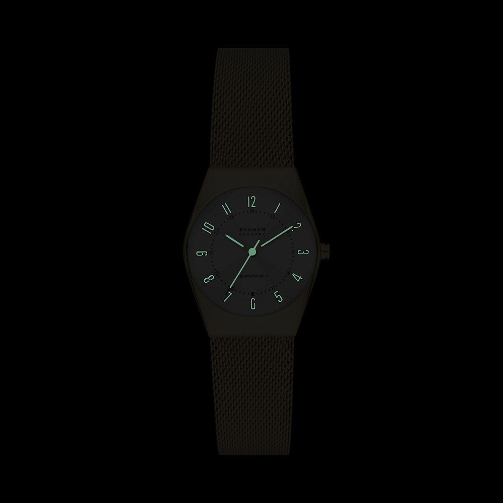 Skagen on sale solar watch