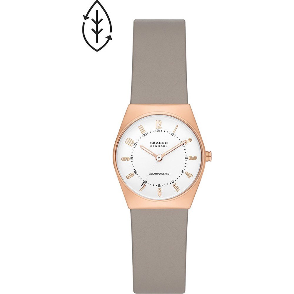 Skagen grenen sale watch