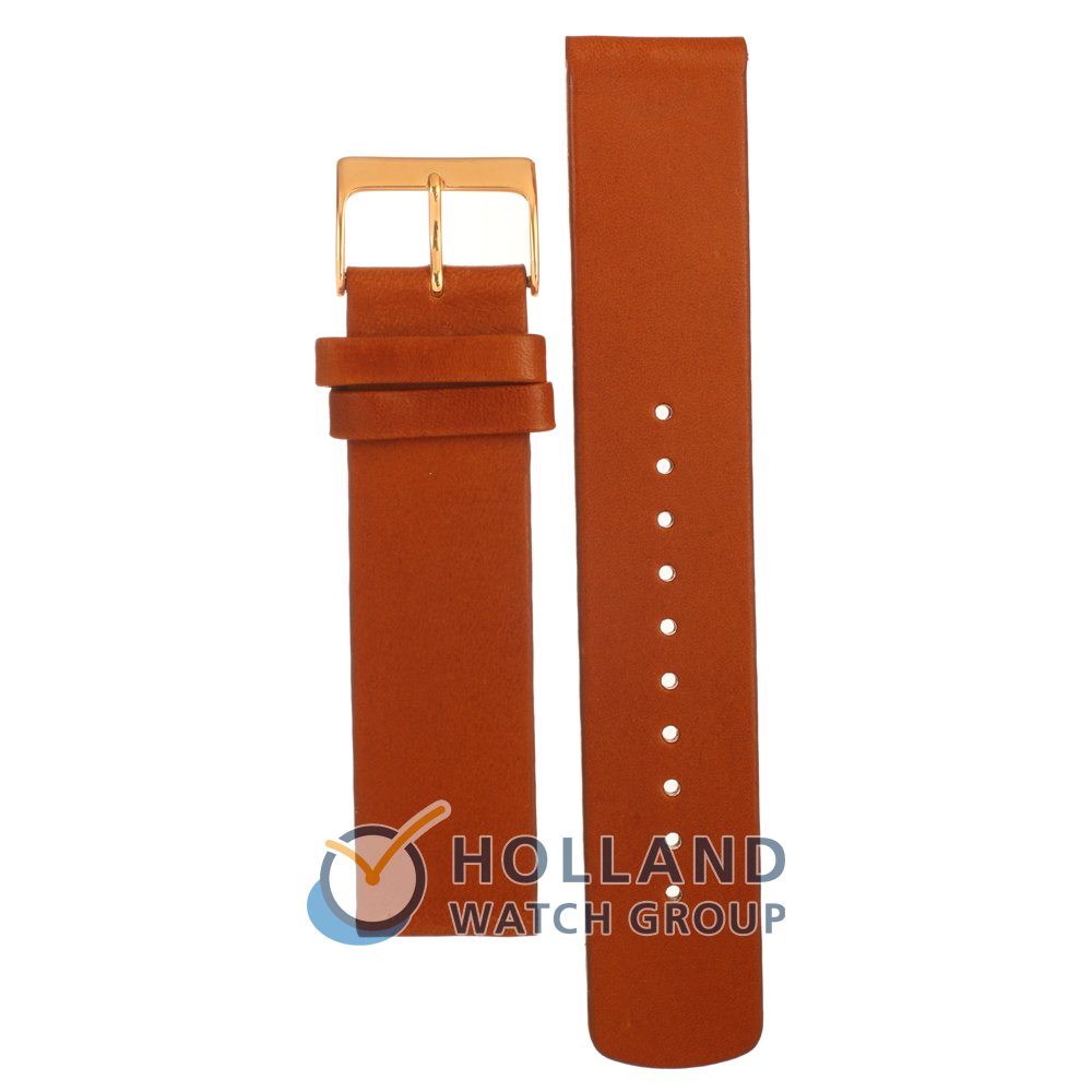 Skagen 22mm watch on sale strap