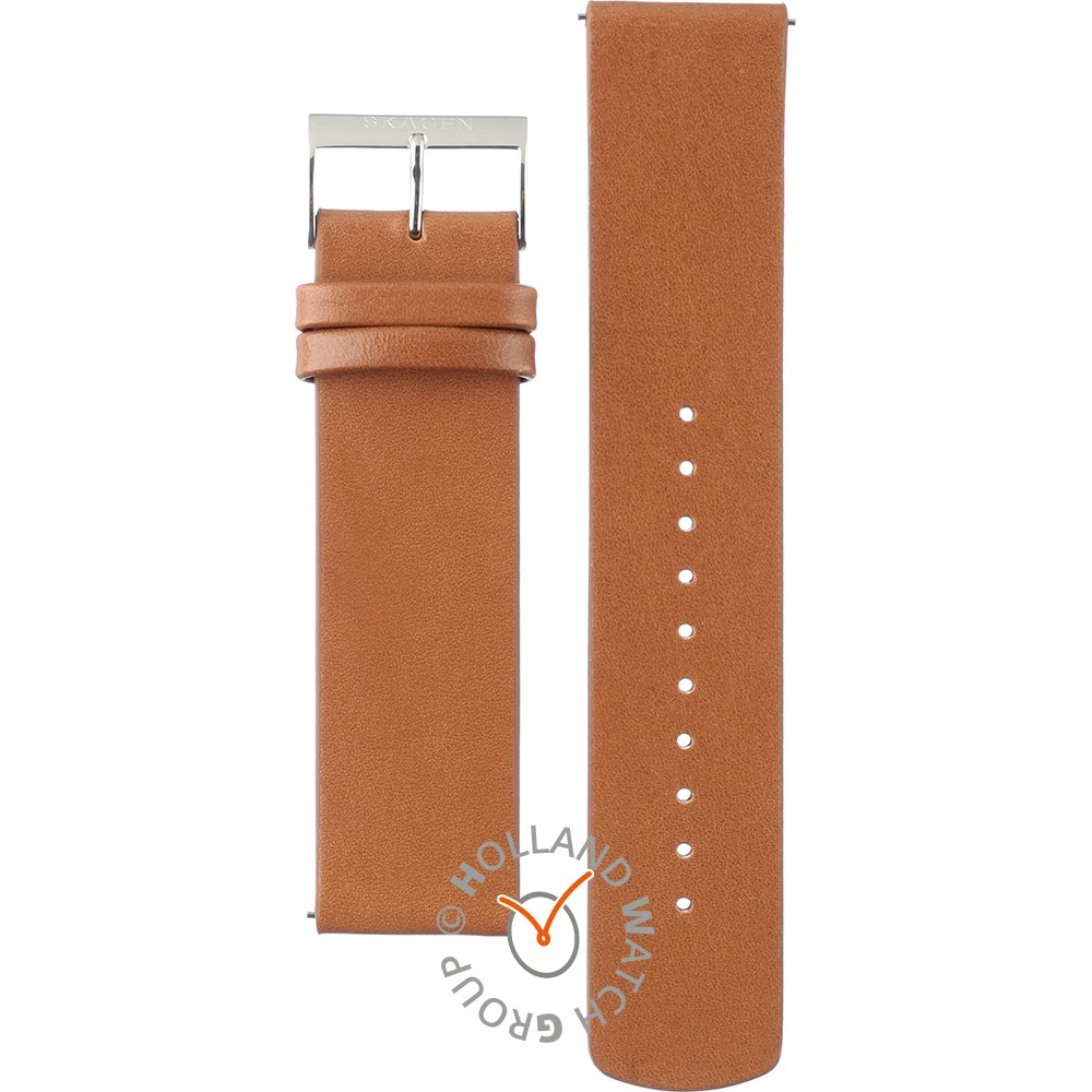 Skagen Straps ASKW6613 SKW6613 Holst Strap Official dealer